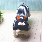 Buy striped dog clothes - petdealspot