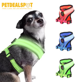 LED Light Dog Harness - Light Up Your Walks!