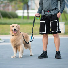 Canine Waist Pack - Ultimate Dog Walking Accessory