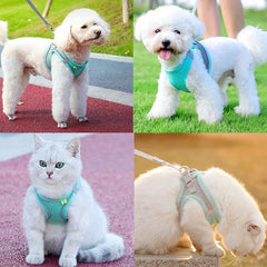 The Best Fit Harness and Leash Combo for Small Pets