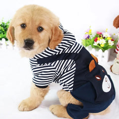 Trendy pet dog outfits - petdealspot
