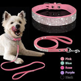 Stylish Pet Collar Leash Set