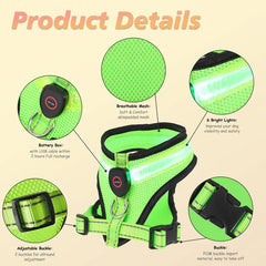 LED Light Dog Harness - Light Up Your Walks!