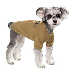 Bear Embrace Pullover - A Cozy Hug for Your Pet