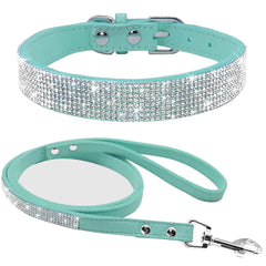Stylish Pet Collar Leash Set