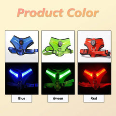 LED Light Dog Harness - Light Up Your Walks!
