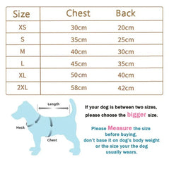 Bear Embrace Pullover - A Cozy Hug for Your Pet