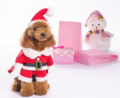 Turn Tails with Our Cute Dog Christmas Clothes – Shop Holiday Chic!