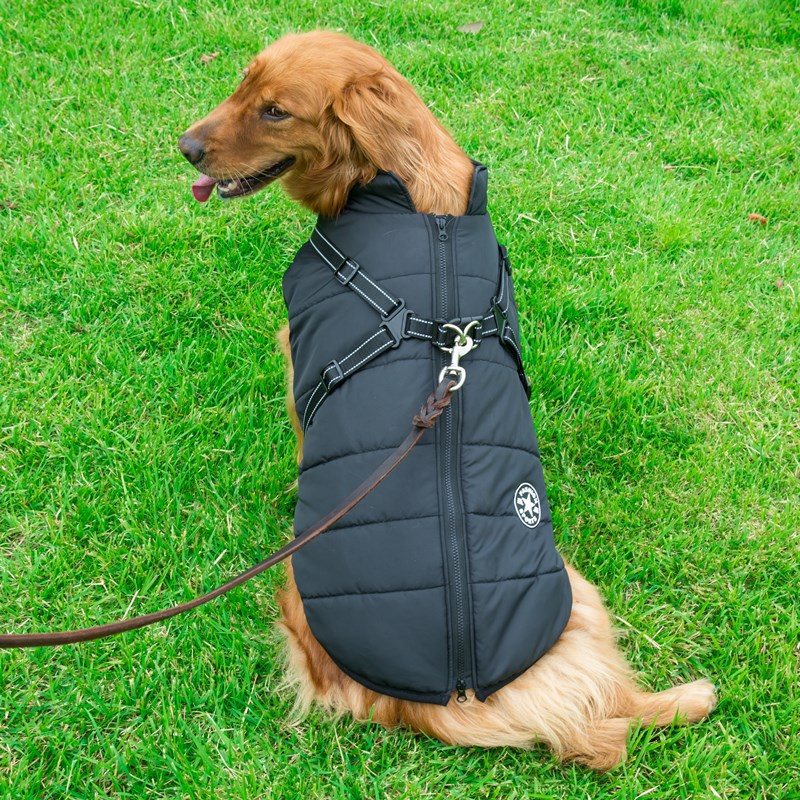 Stay Warm in Style: Fashionable Dog Winter Clothes for Your Furry Friend!