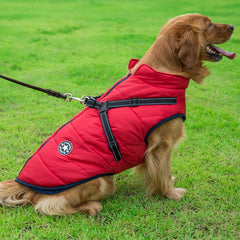 Stay Warm in Style: Fashionable Dog Winter Clothes for Your Furry Friend!