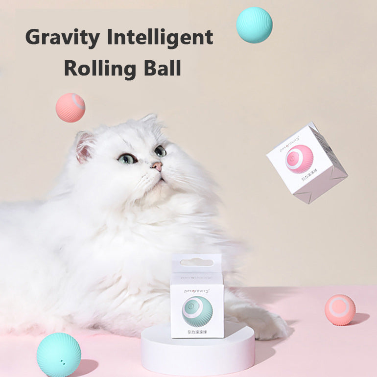 Pet Play Ball: A High-Tech Treat for Your Cat's Exercise!