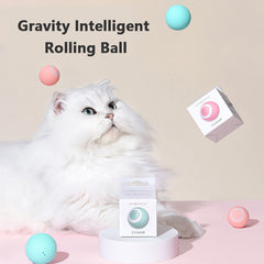 Pet Play Ball: A High-Tech Treat for Your Cat's Exercise!