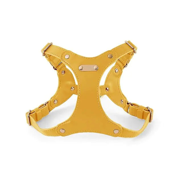 Buy leather harness with free shipping - petdealspot