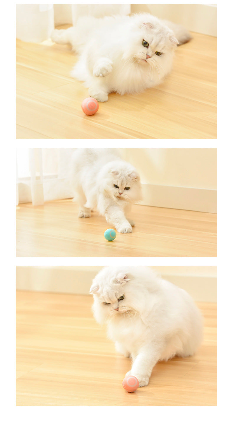 Pet Play Ball: A High-Tech Treat for Your Cat's Exercise!