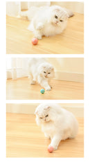 Pet Play Ball: A High-Tech Treat for Your Cat's Exercise!