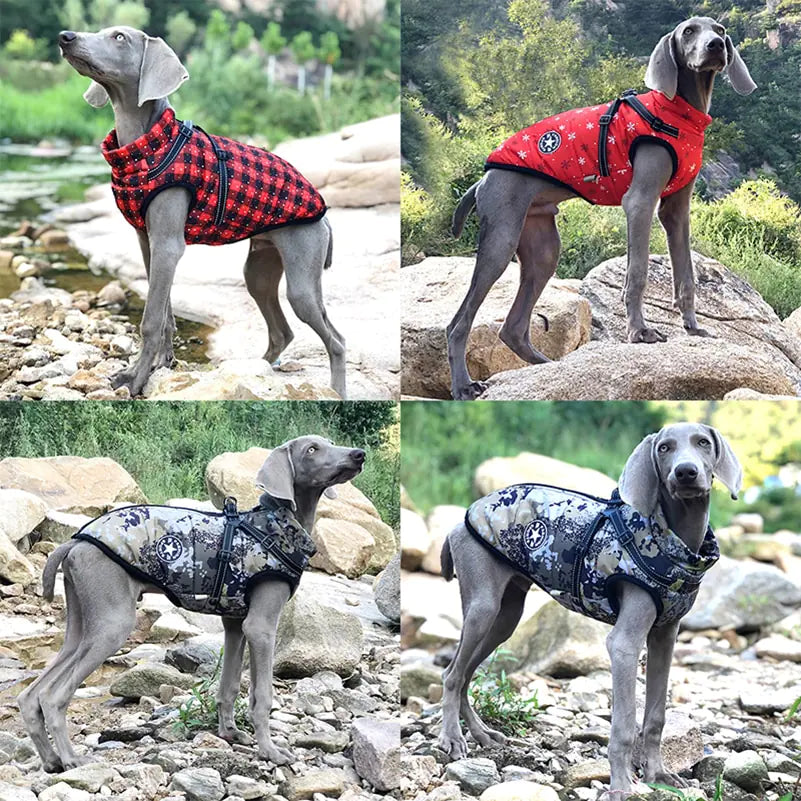 Winter dog clothes - petdealspot