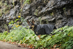 Fleece-lined dog jacket - petdealspot