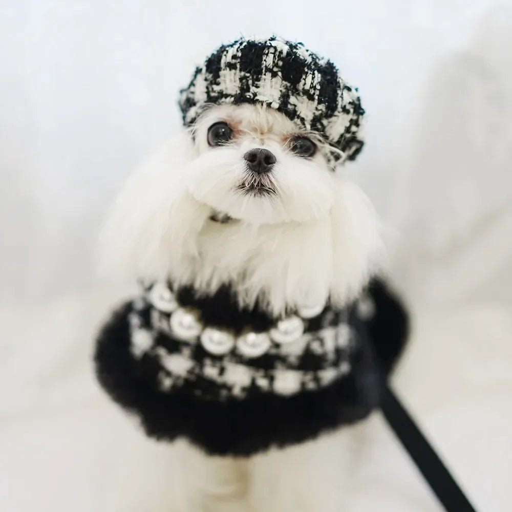 Designer Dog Clothes - petdealspot