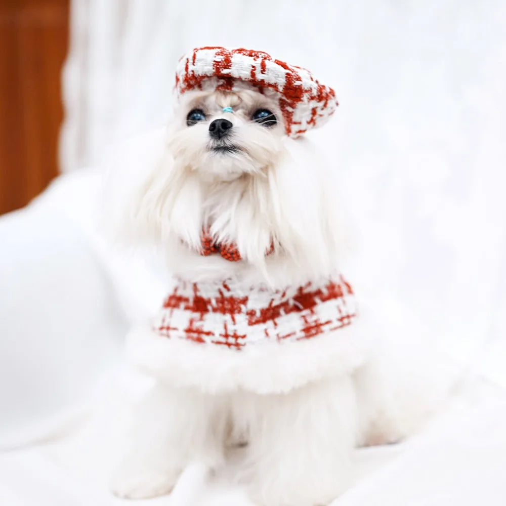 Dog Holiday Clothes - petdealspot