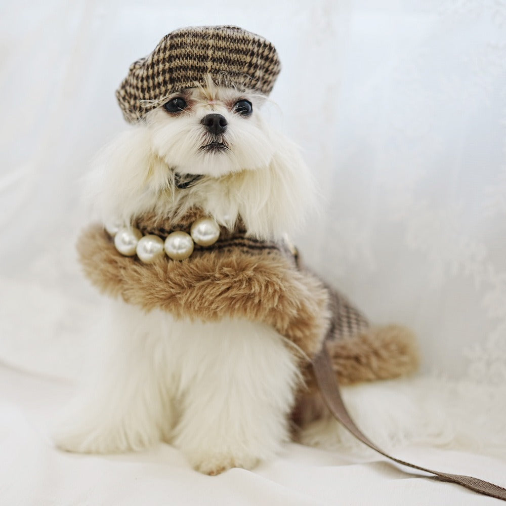 Festive Dog Clothing - petdealspot