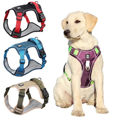 Stroll in Style: Comfortable Dog Harness for Daily Walks