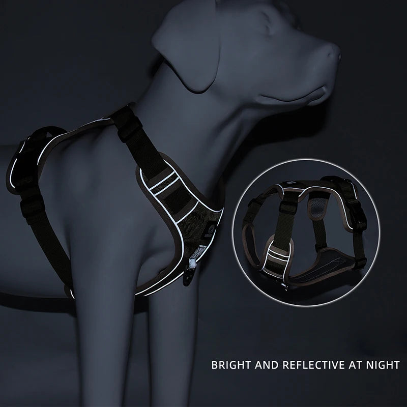 Stroll in Style: Comfortable Dog Harness for Daily Walks