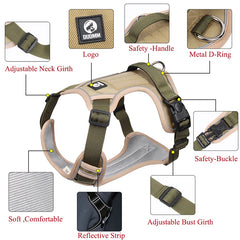 Stroll in Style: Comfortable Dog Harness for Daily Walks