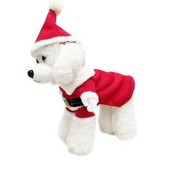 Turn Tails with Our Cute Dog Christmas Clothes – Shop Holiday Chic!