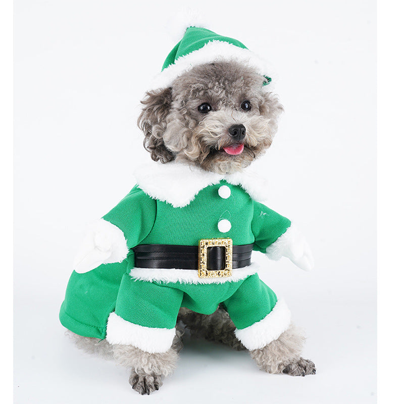 Turn Tails with Our Cute Dog Christmas Clothes – Shop Holiday Chic!