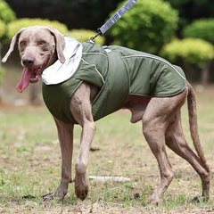 Warm dog coat for cold weather - petdealspot