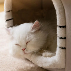 Chic Winter Cat Villa & Stylish Dog Kennel - Your Pet's Dream Home!