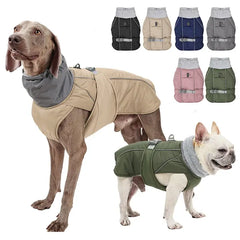 Best winter dog coat - petdealspot