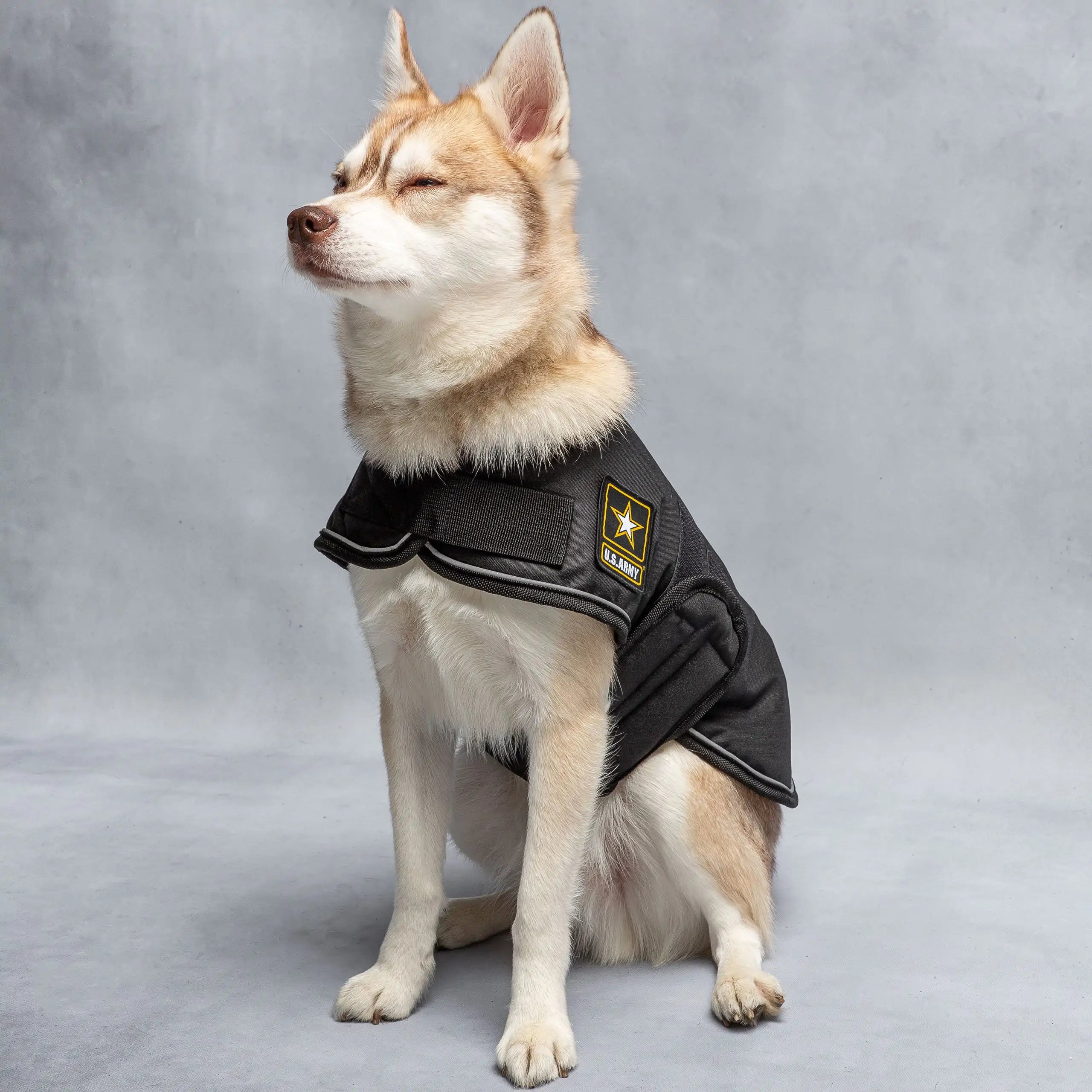 Reflective dog coat for night walks - petdealspot