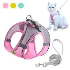 The Best Fit Harness and Leash Combo for Small Pets