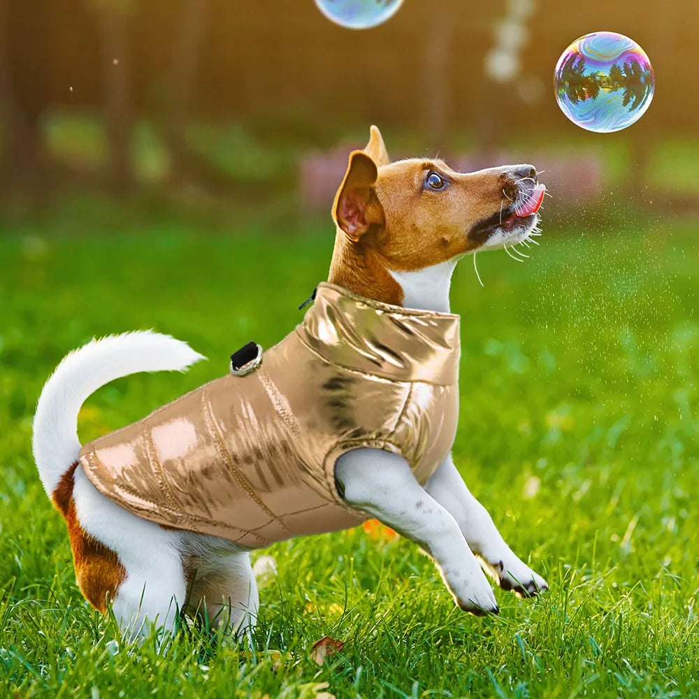 Shiny Reflective Dog Jacket for Night Walks