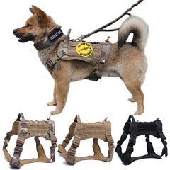 Nylon Tactical Dog Harness With Handle and Bungee Leash For German Shepherds And Other Large Dogs