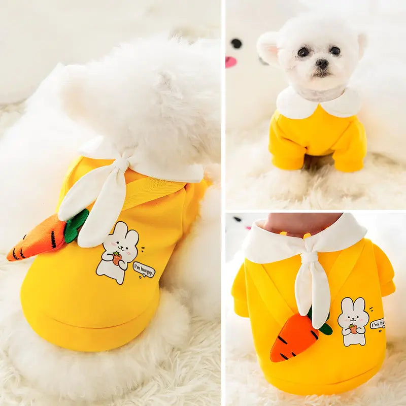 Pet Clothing - Dress Your Pet in Style