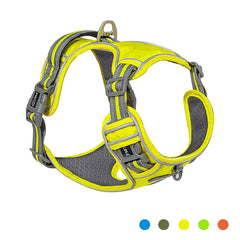 Ultimate Adventure Dog Harness