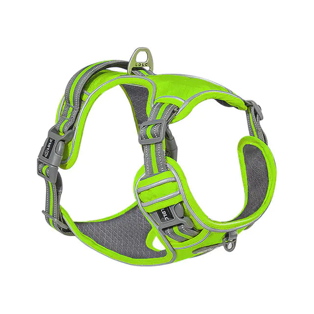 Ultimate Adventure Dog Harness